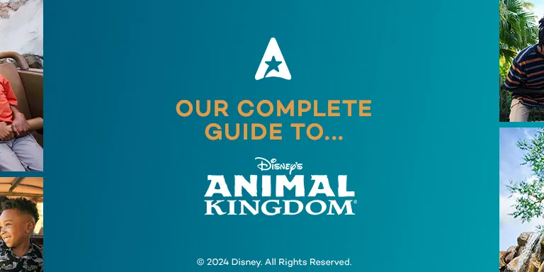 Blue banner with text "Our complete guide to Disney's Animal Kingdom". To the left there are four photos: girls with birds flying overhead, four guests on water ride circular boat being splashed, a mum and son face to face with giraffe on a safari ride and two kids on a brown rollercoaster with the theming of a snow capped mountain. To the right there are images of men with a cartoon meerkat, a man lifting his daughter, a mum and toddler on spin ride and a savannah.