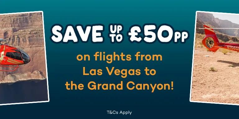 Papillon Offer 