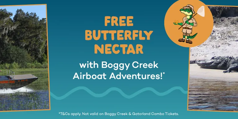 Free Butterfly Nectar at Boggy Creek Airboat Adventures