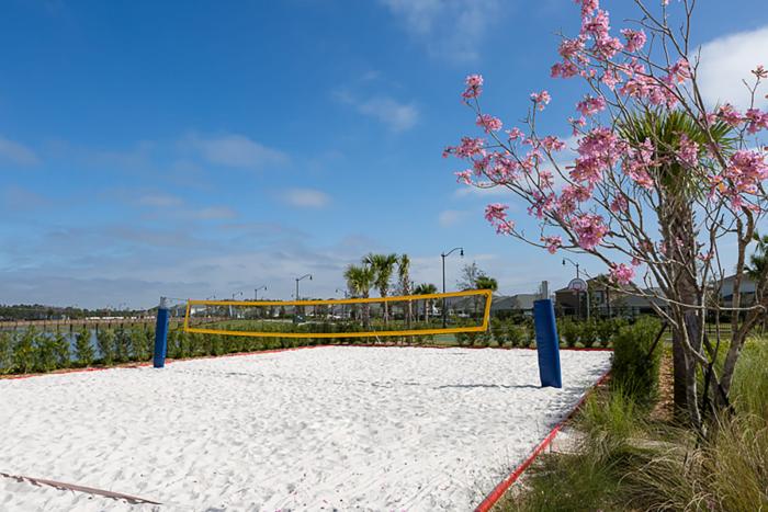 Outdoor white sand volleyball court with a yellow net and a blooming pink tree