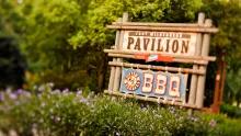 Mickey's Backyard BBQ