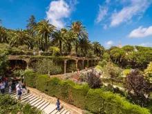 Park Güell Walking Tour 