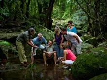 Cape Tribulation & Daintree Adventure