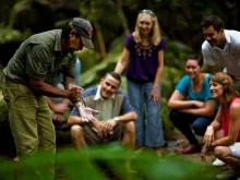 Cape Tribulation & Daintree Adventure from Port Douglas