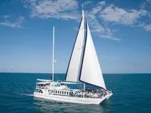 Wavedancer Low Isles Reef Cruise from Cairns