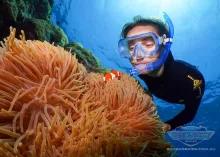  Silversonic Outer Barrier Reef