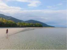 Cape Tribulation and Daintree Wilderness from Port Douglas