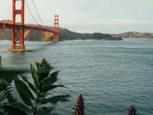 Bridge to Bridge Cruise