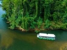 Mossman Gorge, Daintree and Wildlife Tour from Port Douglas 