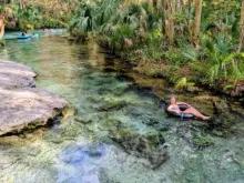 Rock Springs River Tubing & Apopka Wildlife Adventure