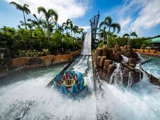 Infinity Falls™