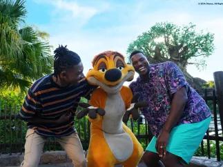 Disney Adults