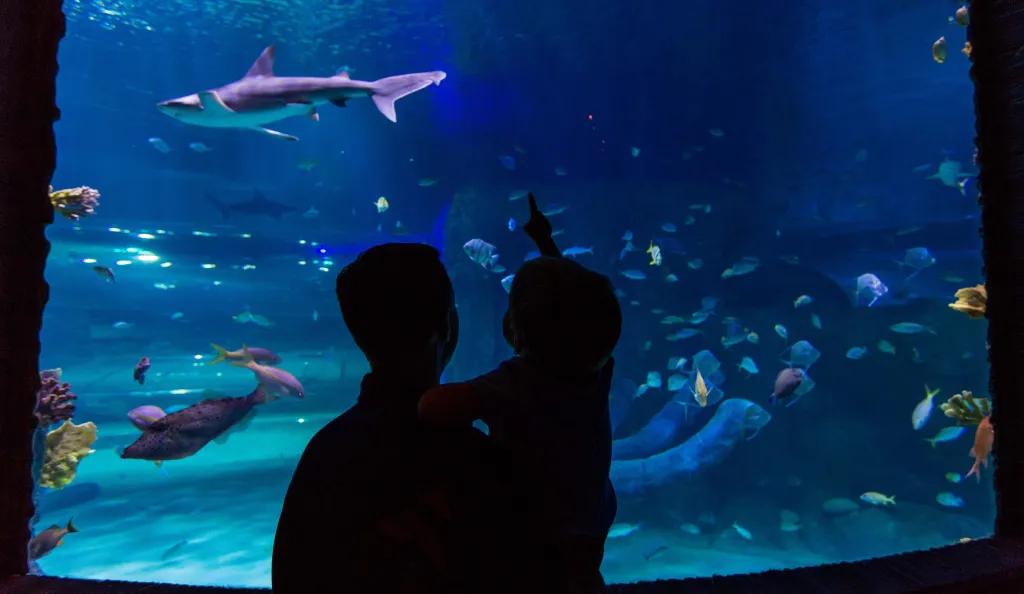 Sea Life Orlando Tickets