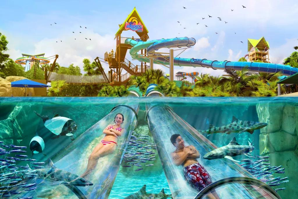 Concept art of two guests on the Reef Plunge slide going underwater