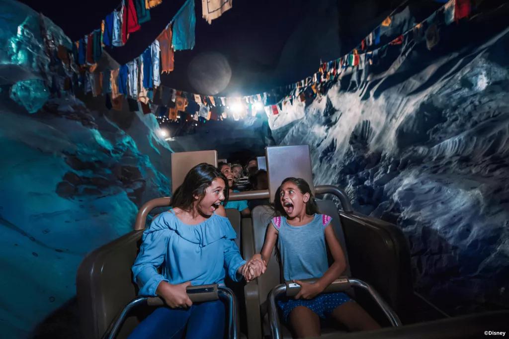 Two kids screaming while riding Expedition Everest in the dark