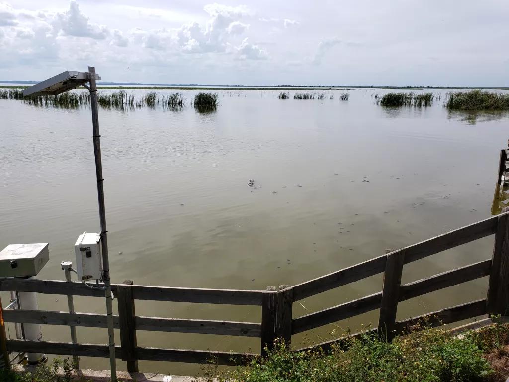 A view out over Lake Apopka from the banks