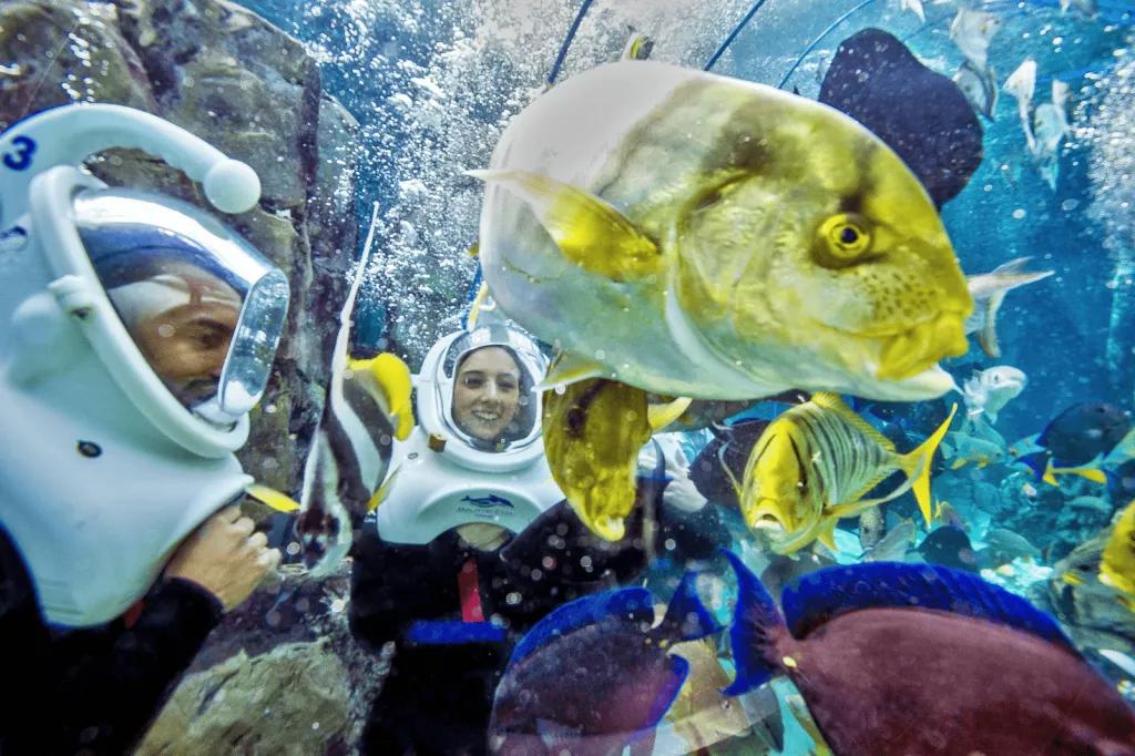 Two people in wetsuits and diving helmets underwater among tropical fish