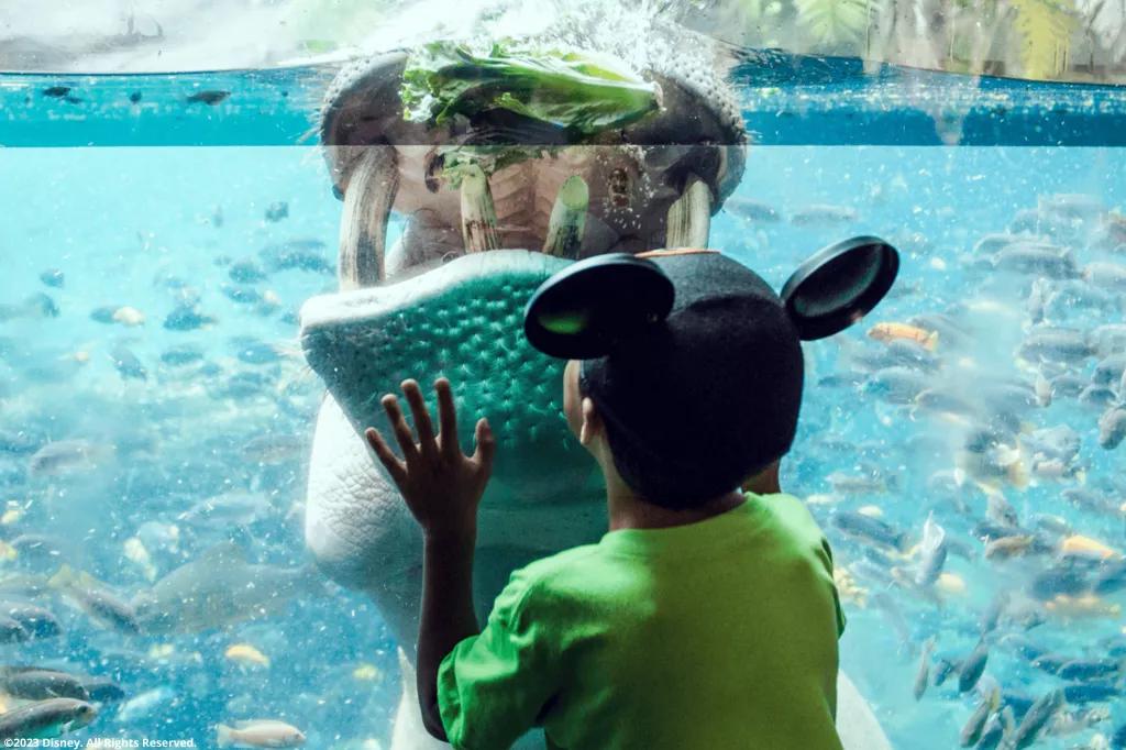 Kind im Disney's Animal Kingdom Themenpark