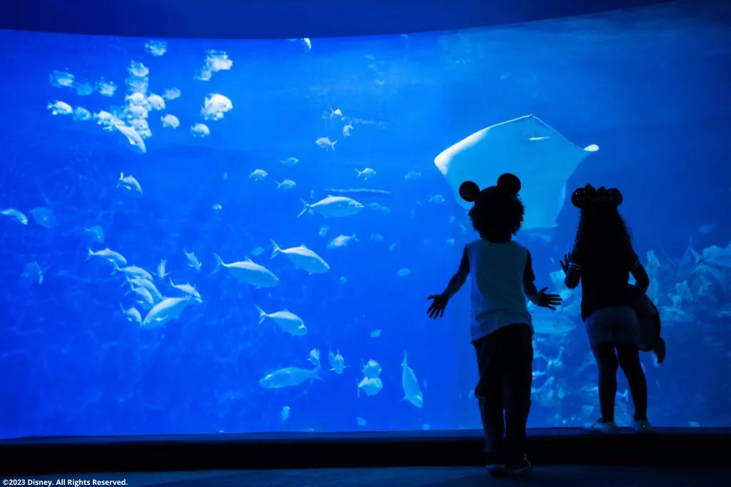 Kinder in EPCOT bestaunen ein Aquarium