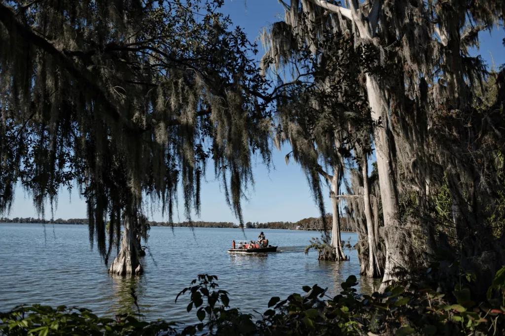 A boat on a large lake surrounded by large trees