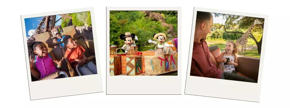 Three polaroid pictures showing people on a rollercoaster, Mickey and Minnie on a boat and a girl on a safari seeing a giraffe