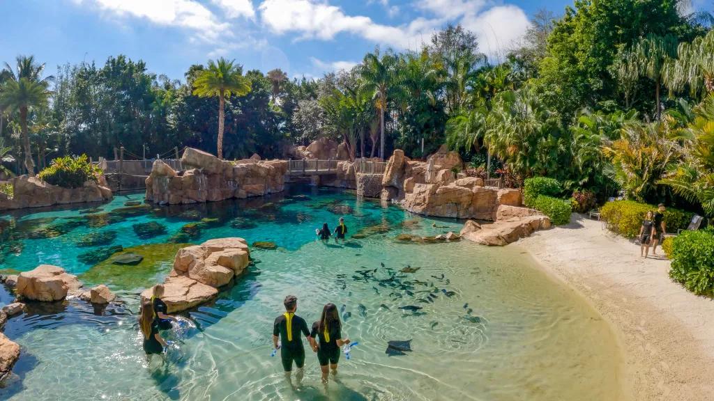 A birds-eye view of the lagoon at Discovery Cove with people in wetsuits walking in from the beach
