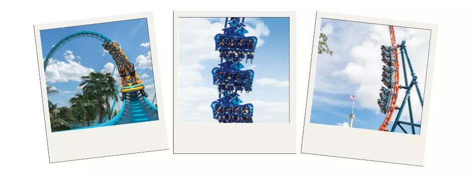 Three polaroid images showing three rollercoasters