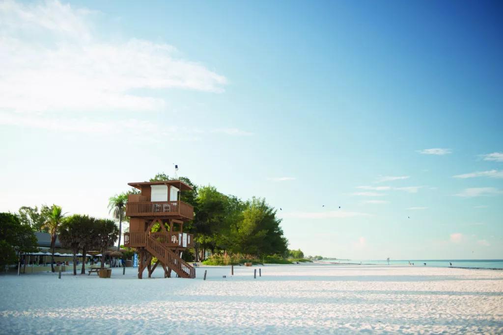 A white sandy beach with greenery in the background and a wooden lookout