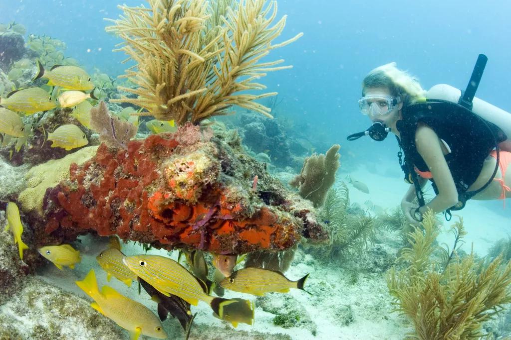 A woman snorkelling next to a coral reef while fish swim by