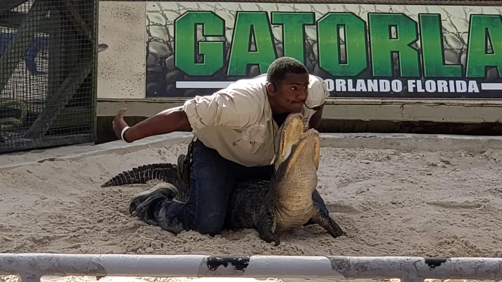 Gatorland