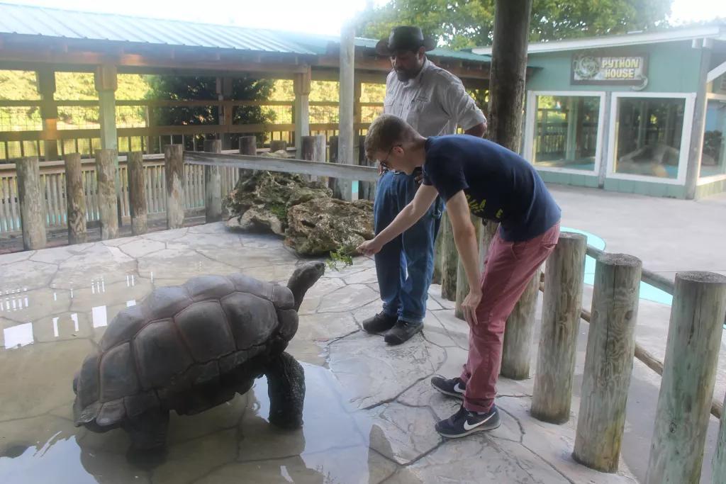 guest with tortoise 