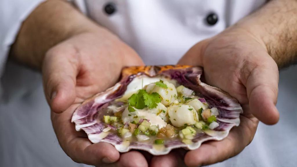 A chef holding a scallop shell full of scallop ceviche in his hands