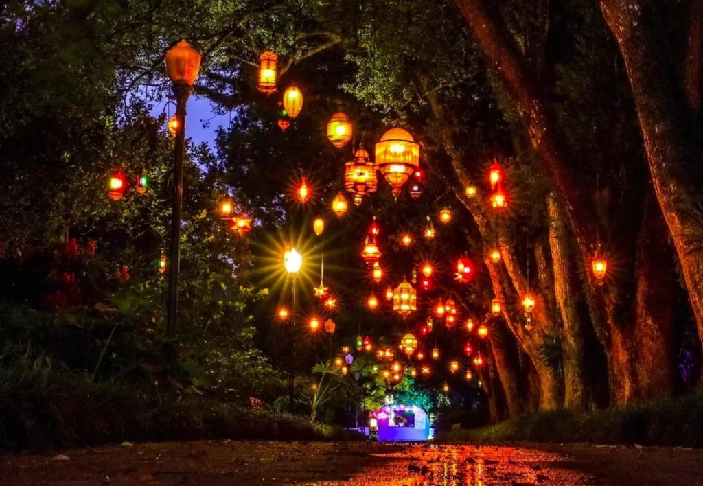 Dazzling Nights at Leu Gardens