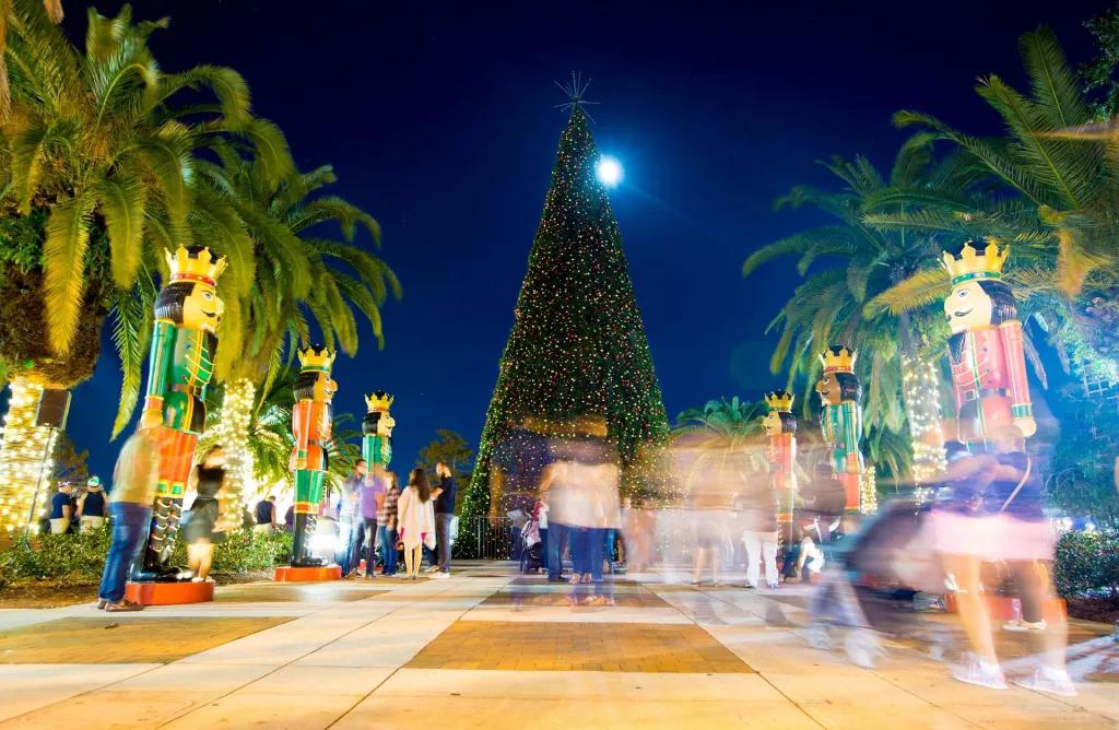 Lake Eola Park tree