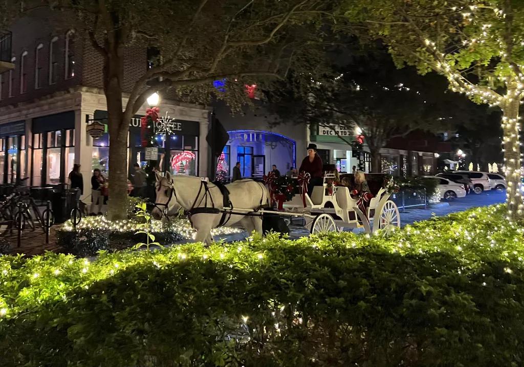 Winter Garden horse-drawn carriage rides