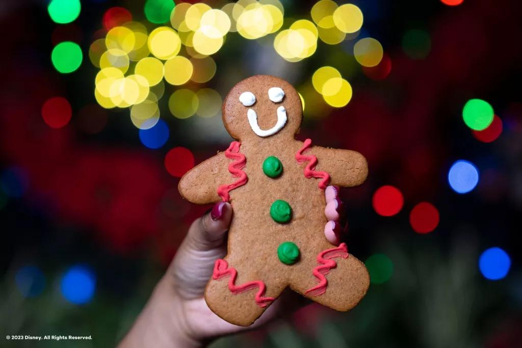 A gingerbread man being held in front of some Christmas lights