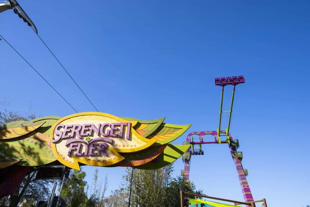 Serengeti Flyer at Busch Gardens