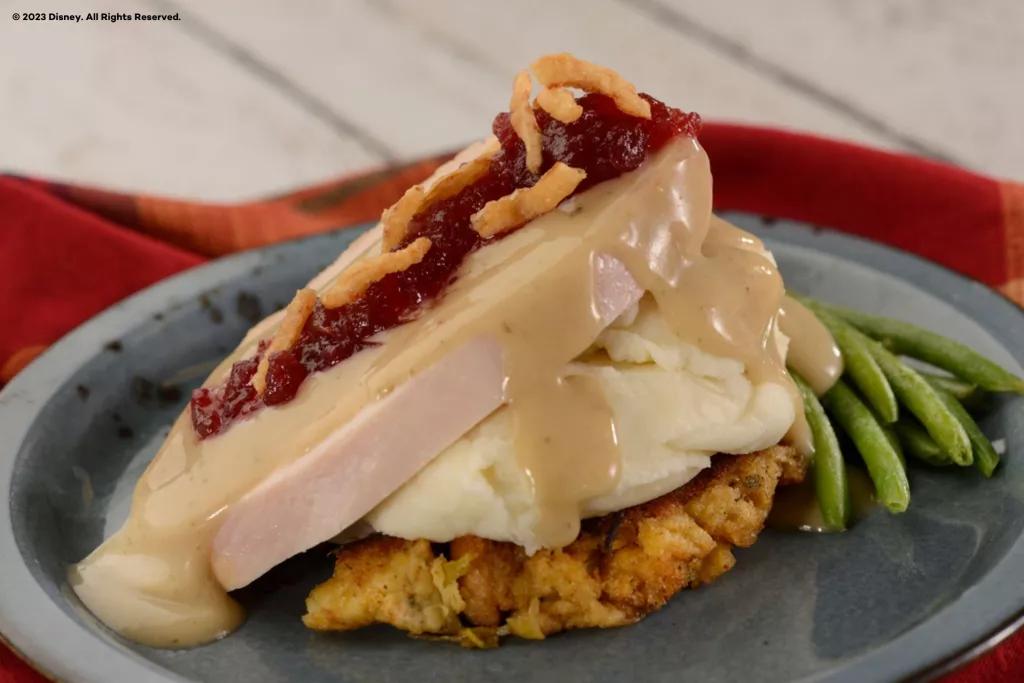 A small Thanksgiving meal on a plate, including turkey, stuffing, mashed potatoes, gravy and cranberry sauce