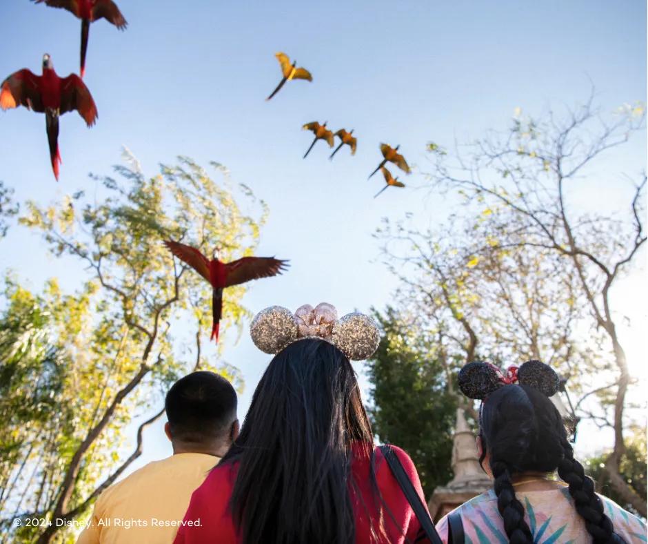 Three guests stood looking up at the sky surrounded by trees, two girls wearing different Mickey ears and one man. Flying above them are various different coloured birds.