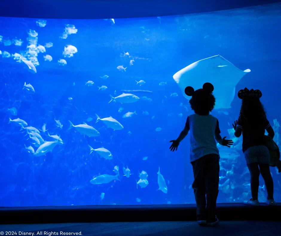 Two children with their backs to the camera looking inside an aquarium where there are many fish and sting rays swimming. The kids have mickey ears on their heads.