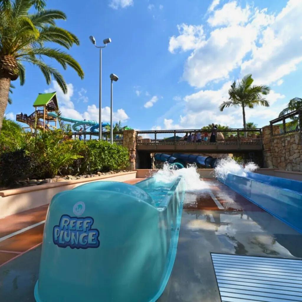 Reef Plunge