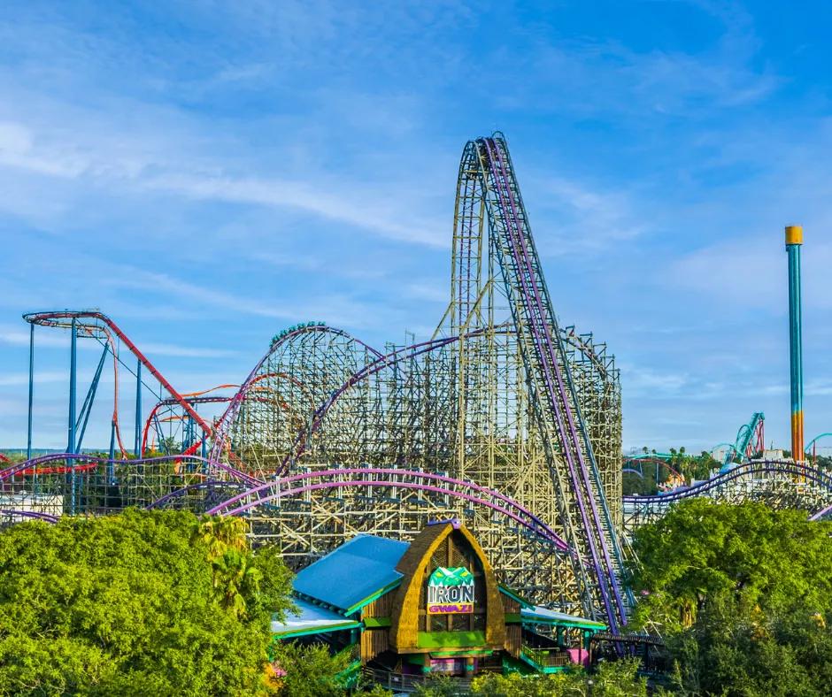 Achterbahn Iron Gwazi in Busch Gardens Tampa Bay