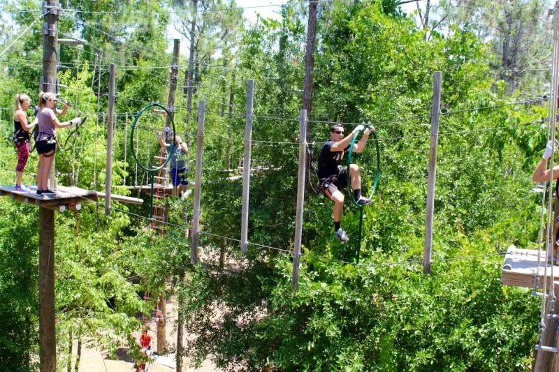 Guests experiencing Orlando Tree Trek