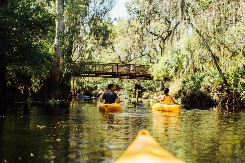 guest in kayak's paddling through river