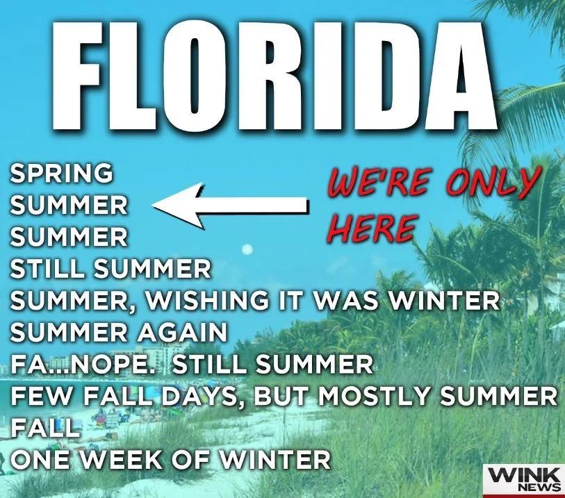 Florida Weather Meme