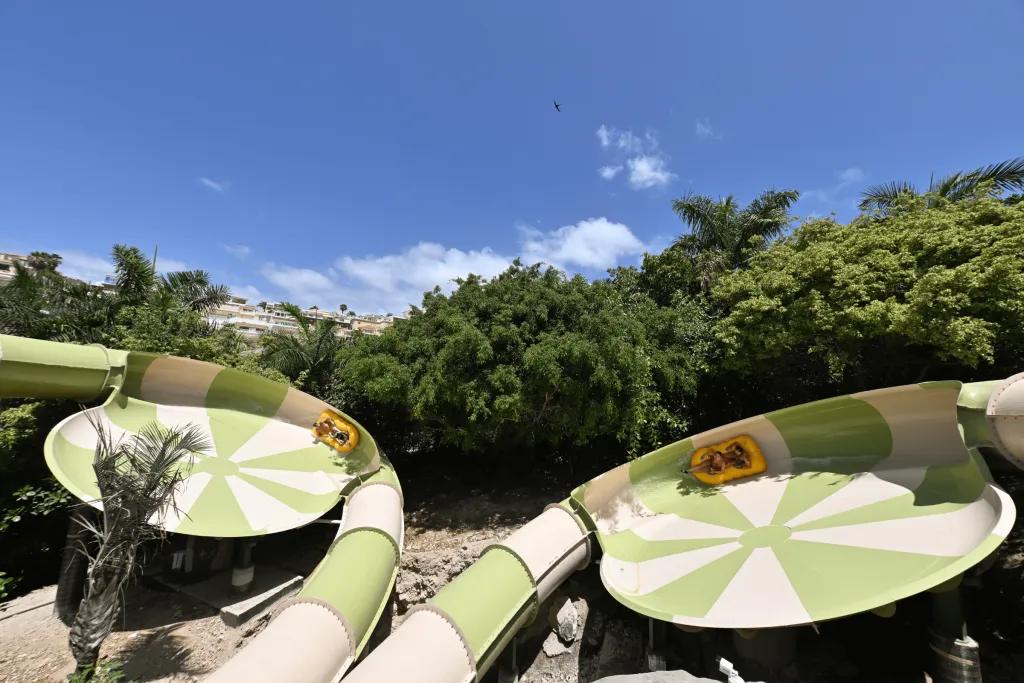 Trees lining two waterparks which run next to each other. Both loop round in the same direction and have 2 people in yellow double rings. The photo is perfectly timed with both in the same place on the two slides.  