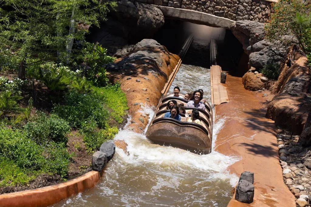 People in a log shaped boat at the bottom of a log flume drop