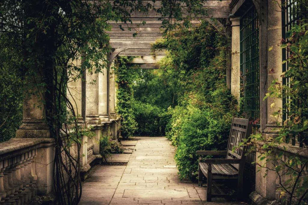 A walkway overgrown with plants and ivy with an empty bench at the side
