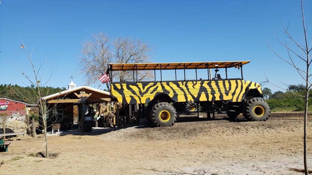 Dirt track with huge truck on painted with tiger stripes on. There is a wooden shack next to it with an American flag on it. Behind there are lots of trees.