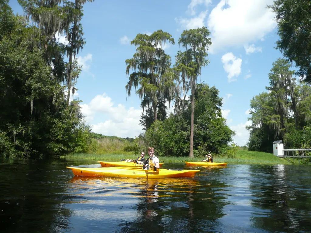 A young boy, a woman and a man sat on their own individual kayaks in the middle of a lake. The water looks dark and there are trees hanging overhead.